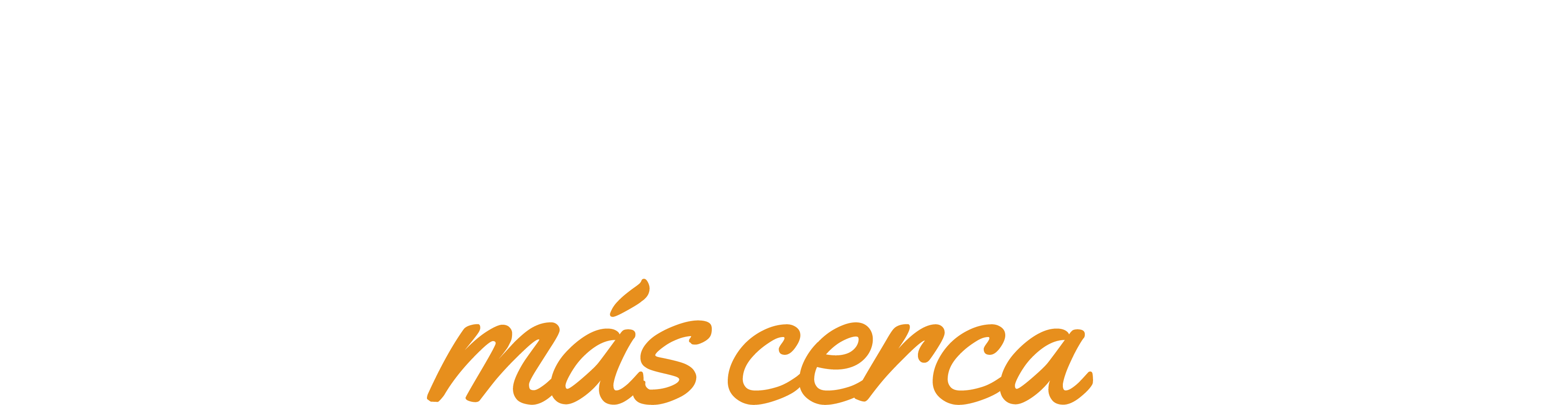 la araucana